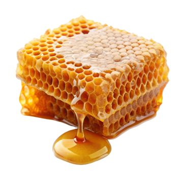 pngtree-honeycomb-cartoon-honey-beeswax-propolis-png-image_12343878